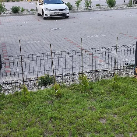 Vizparti Silver X Siofok