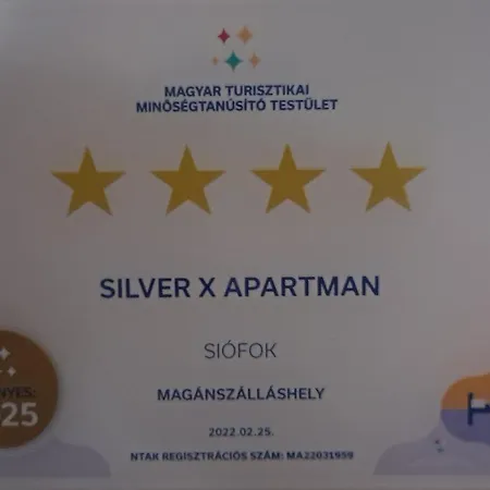 Vizparti Silver X *